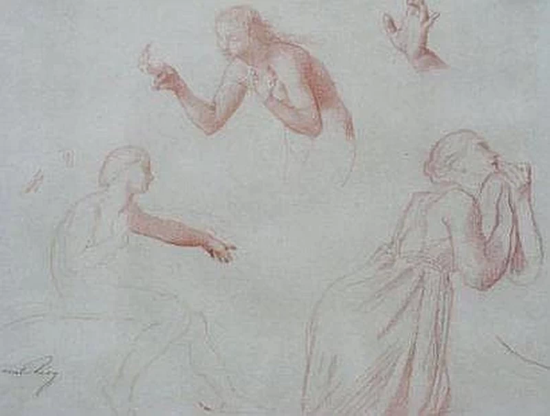 Studio di donne